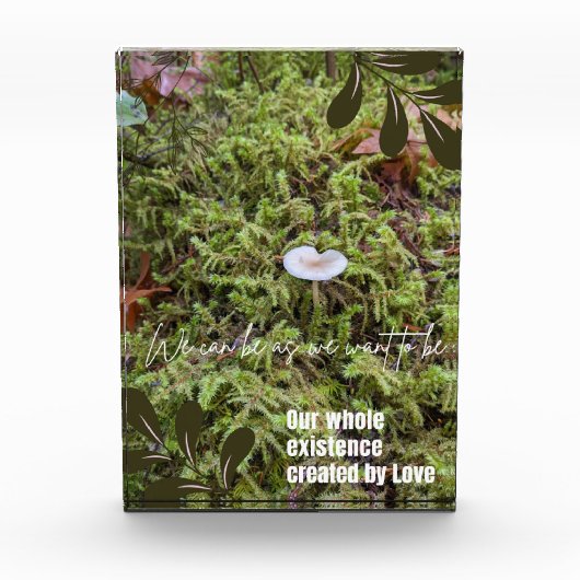 Bloc Photo Champignon Belknap avec citation (Devant)