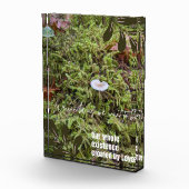 Bloc Photo Champignon Belknap avec citation (Droite)