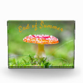 Bloc Photo Champignon rouge en selle à pain fin été (Devant)