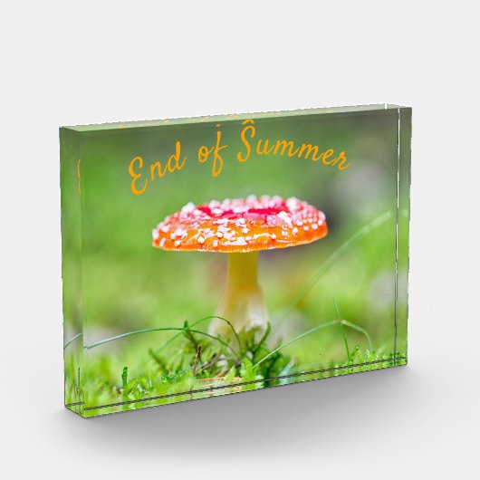 Bloc Photo Champignon rouge en selle à pain fin été (Gauche)