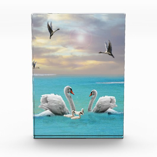 Bloc Photo Chanson Du Cygne Blanc, (Devant)