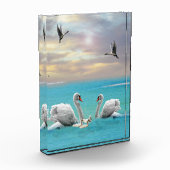 Bloc Photo Chanson Du Cygne Blanc, (Gauche)