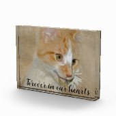 Bloc Photo Chat avec Daisy Pet Memorial (Droite)