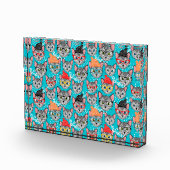 Bloc Photo Chat dans le casquette (Droite)