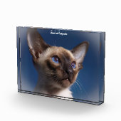 Bloc Photo Chat de Siamese (Droite)