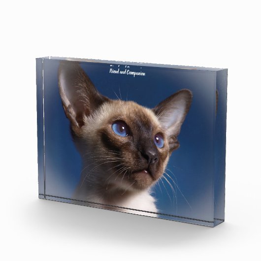 Bloc Photo Chat de Siamese (Droite)