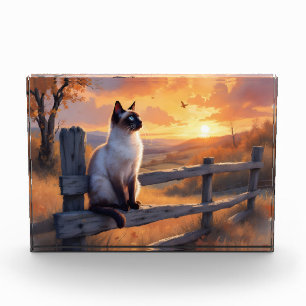 Bloc Photo Chat de Siamese sur une clôture à rail cassé