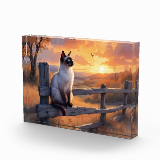 Bloc Photo Chat de Siamese sur une clôture à rail cassé (Droite)