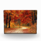 Bloc Photo Chemin d'automne à travers les arbres (Devant)