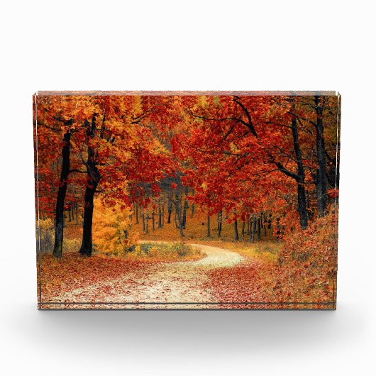 Bloc Photo Chemin d'automne à travers les arbres (Devant)