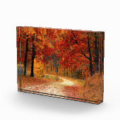 Bloc Photo Chemin d'automne à travers les arbres (Droite)