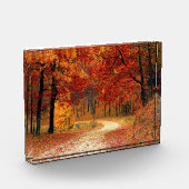 Bloc Photo Chemin d'automne à travers les arbres (Gauche)