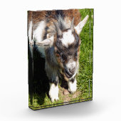 BLOC PHOTO CHÈQUE CUTE (Gauche)