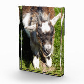 BLOC PHOTO CHÈQUE CUTE (Droite)