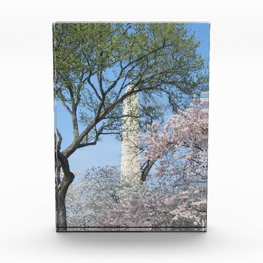 Bloc Photo Cherry Blossoms and the Washington Monument (Devant)