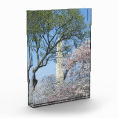 Bloc Photo Cherry Blossoms and the Washington Monument (Gauche)