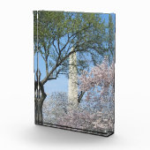 Bloc Photo Cherry Blossoms and the Washington Monument (Droite)