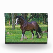 Bloc Photo Cheval Clydesdale (Devant)