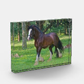 Bloc Photo Cheval Clydesdale (Gauche)