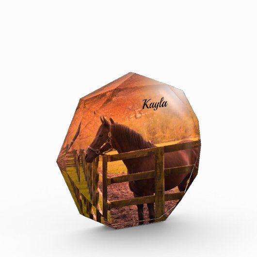 Bloc Photo Cheval d'automne (Gauche)