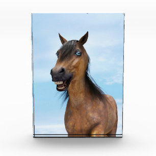 Bloc Photo Cheval de baie souriant heureux