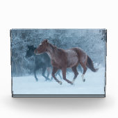 Bloc Photo Cheval Drive (Devant)