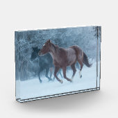 Bloc Photo Cheval Drive (Gauche)