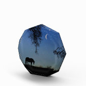 Bloc Photo Cheval et Lune Art (Droite)