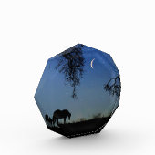 Bloc Photo Cheval et Lune Art (Gauche)