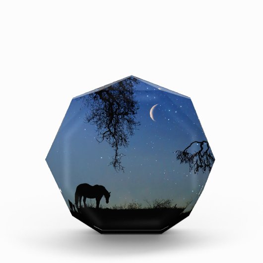 Bloc Photo Cheval et Lune Art (Devant)