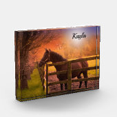 Bloc Photo Cheval fille (Gauche)