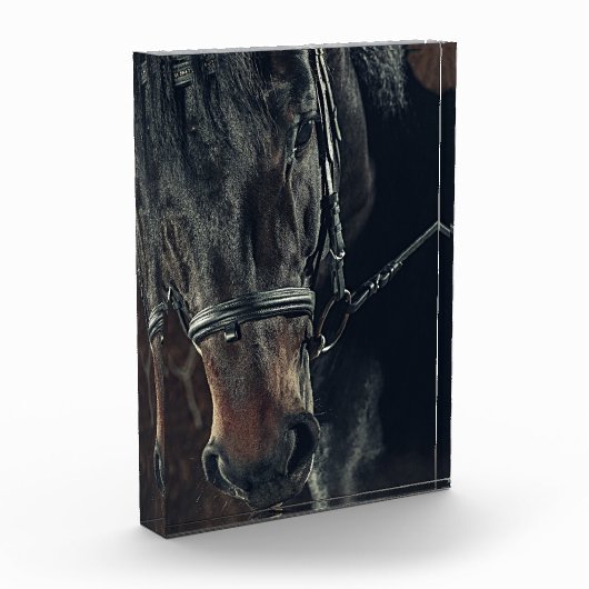 Bloc Photo Cheval noir (Gauche)