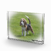 Bloc Photo Chien Beagle. (Droite)