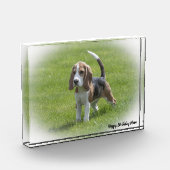 Bloc Photo Chien Beagle. (Gauche)