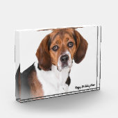 Bloc Photo Chien beagle. (Gauche)