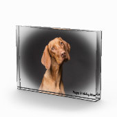 Bloc Photo Chien beagle. (Droite)