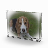 Bloc Photo Chien beagle. (Droite)