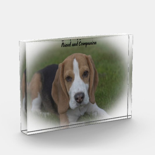 Bloc Photo Chien beagle (Gauche)