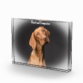 Bloc Photo Chien Beagle (Droite)
