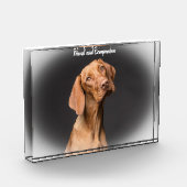 Bloc Photo Chien Beagle (Gauche)