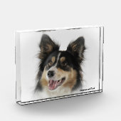 Bloc Photo Chien Border Collie. (Gauche)