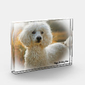 Bloc Photo Chien Caniche (Gauche)