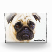 Bloc Photo Chien carlin. (Devant)