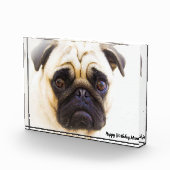 Bloc Photo Chien carlin. (Droite)