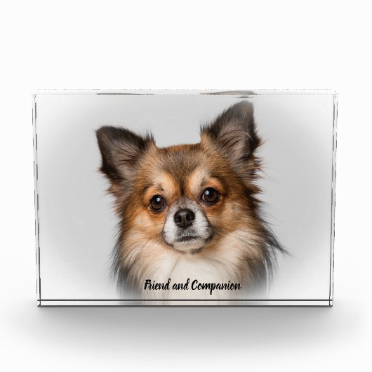 Bloc Photo Chien Chihuahua. (Devant)