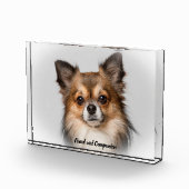 Bloc Photo Chien Chihuahua. (Droite)