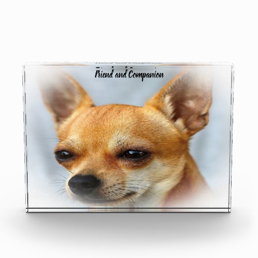 Bloc Photo Chien Chihuahua. (Devant)