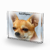 Bloc Photo Chien Chihuahua. (Droite)