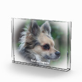 Bloc Photo Chien Chihuahua. (Droite)