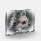 Bloc Photo Chien Chihuahua. (Gauche)